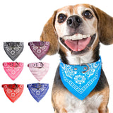 Bandana ajustable pour chiens