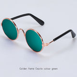 Lunettes pour votre chat