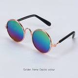 Lunettes pour votre chat