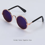 Lunettes pour votre chat