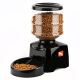 Distributeur automatique programmable de nourriture 5,5L avec enregistrement vocal pour chiens & chats